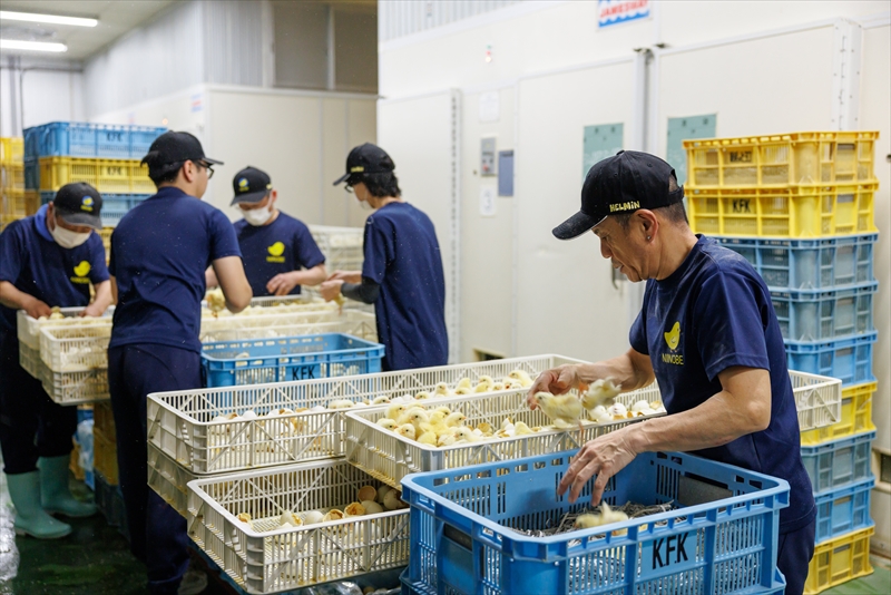 当社の次世代を担う人材募集中